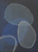 Blue on Blue - 2008